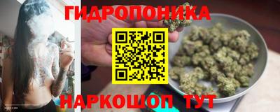 ECSTASY Северобайкальск